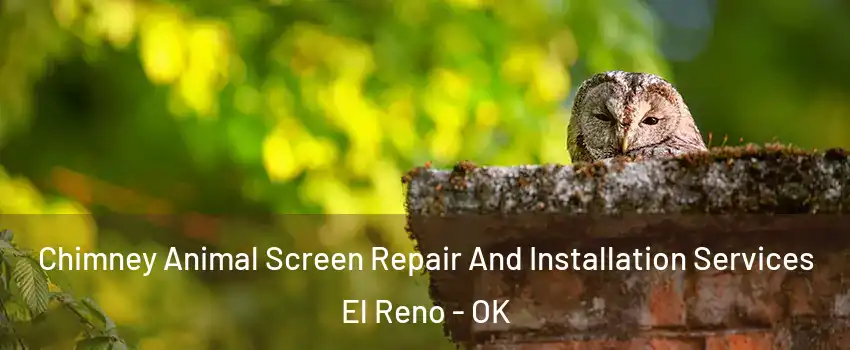  Chimney Animal Screen Repair And Installation Services El Reno - OK